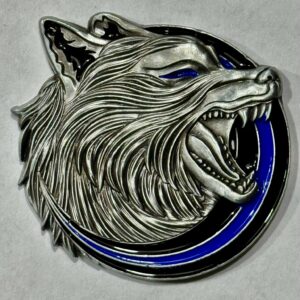 Coin P6